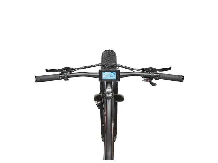 E-Bike Fat Bike Aufsteiger FM350 26 Zoll schwarz