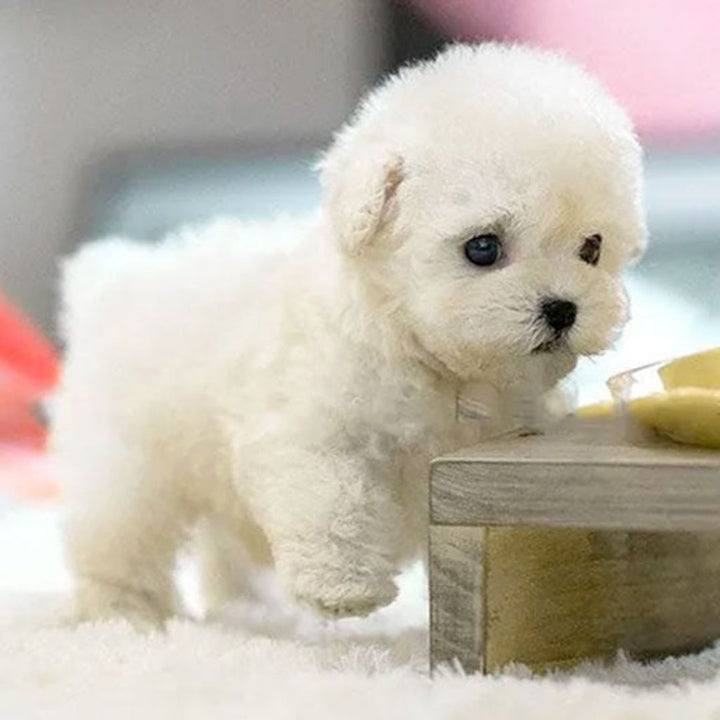 Juguete Interactivo para Cachorros con Movimiento y Sonido Realista
